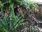 ③IMG_1186.JPG