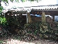 ③IMG_1190.JPG