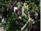 ③IMG_1215.JPG