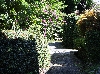 ④IMG_1221.JPG