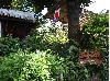 ④IMG_8973.JPG
