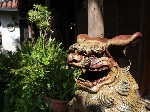 ⑤IMG_1240.JPG