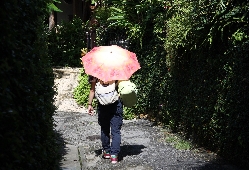⑥IMG_1245.JPG