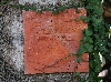 IMG_1210.JPG