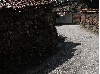 IMG_1247.JPG