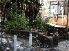 IMG_1253.JPG
