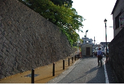 IMGP1234.JPG