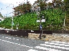IMGP0999.JPG