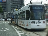 IMGP0997.JPG