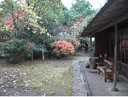 HIMG0599.JPG