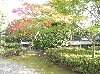 HIMG0569.JPG