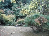 HIMG0600.JPG