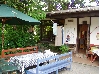P3170036.JPG
