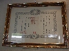 IMGP1156.JPG